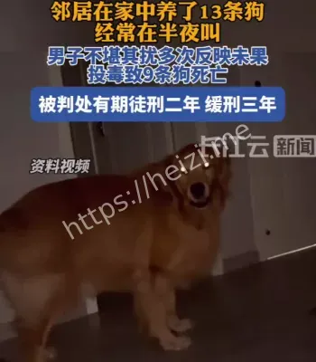 男子不满狗叫投毒获刑