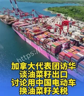 加拿大油菜籽贸易